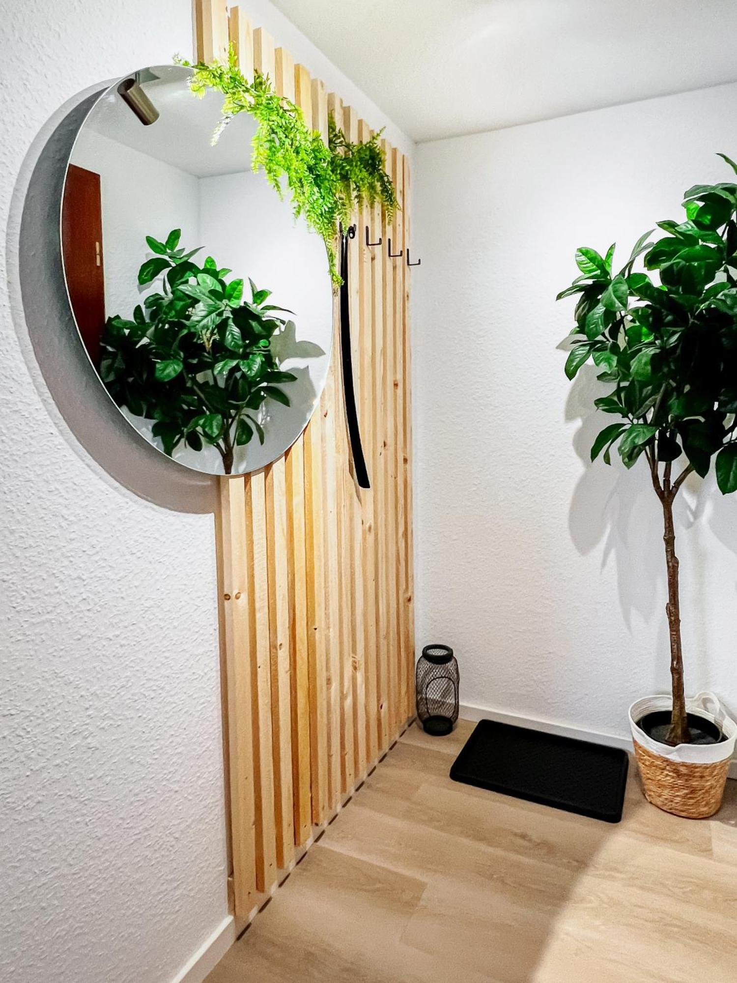 Cozy Studi -